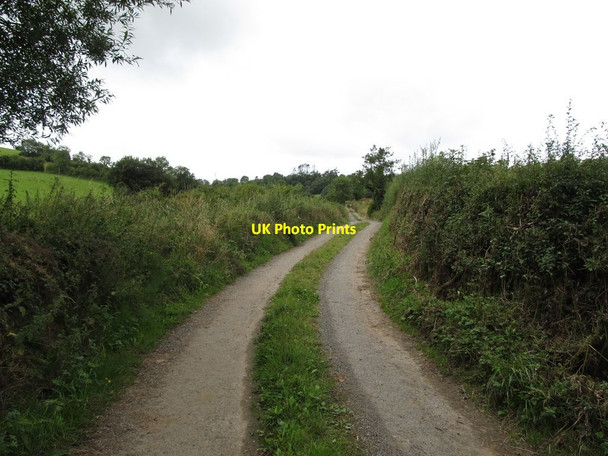 Photo 6"x4" View west along a farm access lane in the Townland of Kilnacrew Canningstown c2013