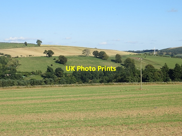 Photo 6"x4" Next year's crop Chapel Mains c2013