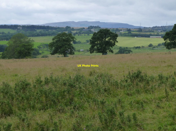 Photo 6"x4" Looking over rough pasture  Old Swarland c2013