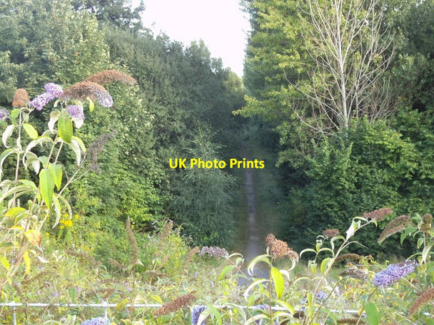 Photo 6"x4" Sutherland Avenue Path Wolverhampton c2013