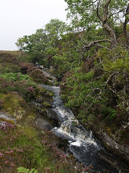 Photo 6"x4" Allt Leathad Doire Ruaidhe Allt Liathdoire c2008