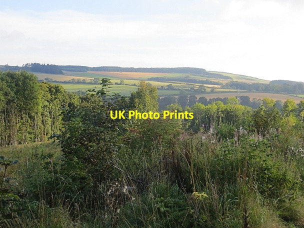 Photo 6"x4" Baramill Plantation Cumledge c2013