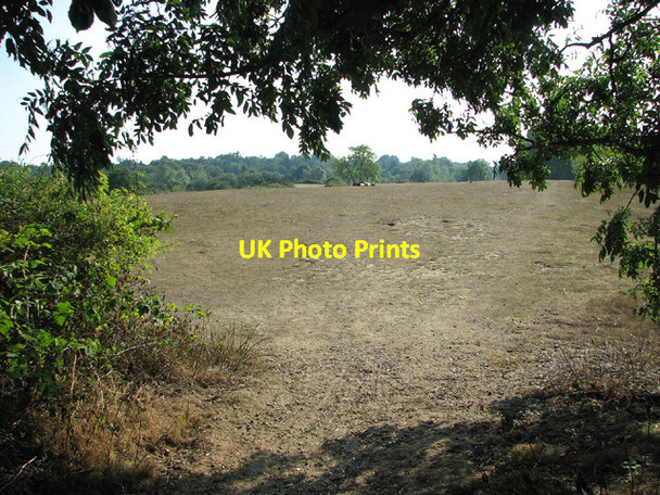 Photo 6"x4" A view across Broome Heath Broome\/TM3491 c2013