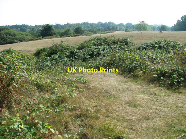 Photo 6"x4" View across Broome Heath Broome\/TM3491 c2013