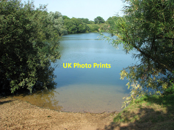 Photo 6"x4" Willows growing by the lake on Broome Heath Broome\/TM3491 c2013