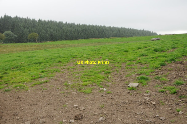 Photo 6"x4" Field by Waen Ganol Derwen\/SJ0650 c2013