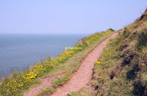 Photo 6"x4" Footpath along the cliff Allerford\/SS9047 c2013