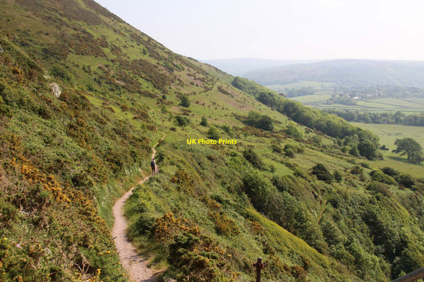 Photo 6"x4" The footpath to Bossington Bossington\/SS8947 c2013