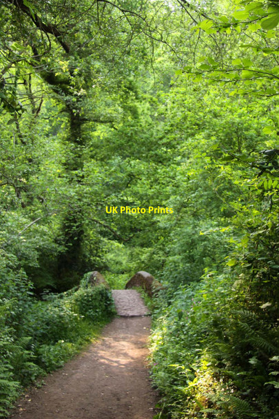 Photo 6"x4" Footpath to Horner packhorse bridge Horner\/SS8945 c2013