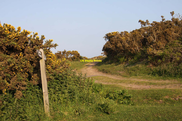 Photo 6"x4" The South-West Coast Path to Minehead Allerford\/SS9047 c2013