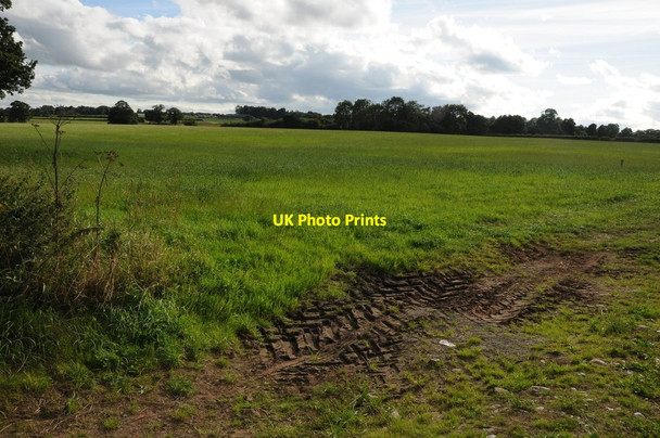 Photo 6"x4" Farmland near Stages Platt Tilstone Fearnall c2013