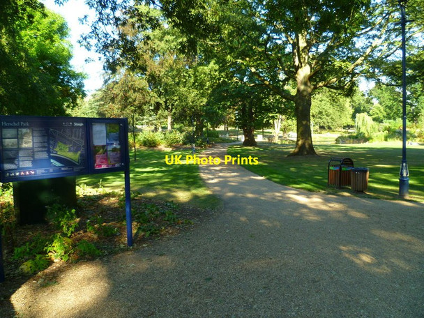 Photo 6"x4" Pathway in Herschel Park Slough\/SU9979 c2013