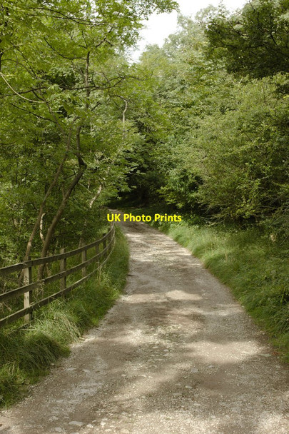 Photo 6"x4" Pennine Way approaching Malham Tarn House Water Houses\/SD8867 c2013
