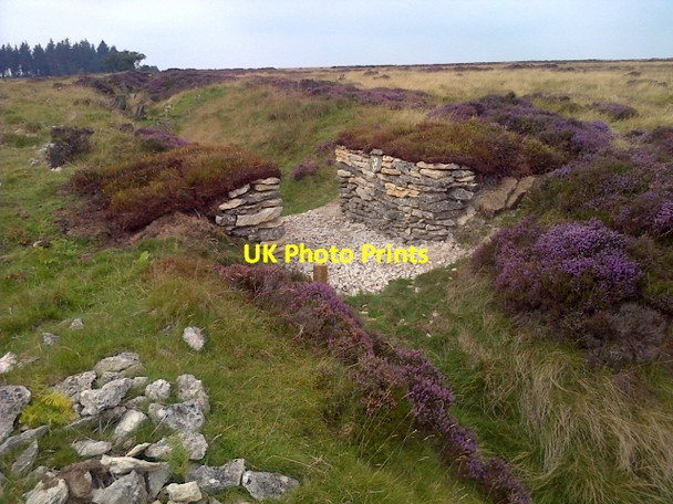 Photo 6"x4" Shooting Butt in Earthwork Kepwick c2013