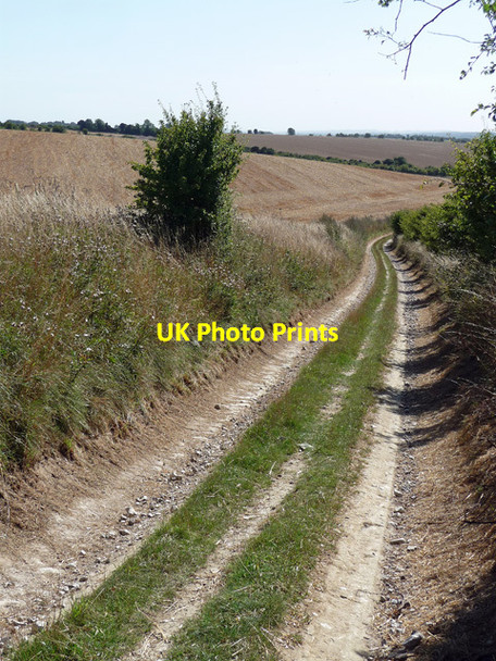Photo 6"x4" Byway on Lowbury Hill (5) Woodway c2013