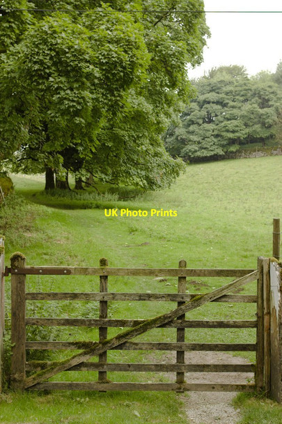 Photo 6"x4" Gate on the Pennine Way Water Houses\/SD8867 c2013