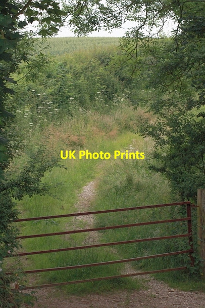 Photo 6"x4" Gate on Track to Dale Farm High Hawsker c2013