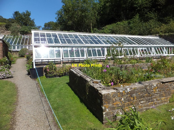 Photo 6"x4" Walled garden at Hartland Abbey  (4) Hartland c2013