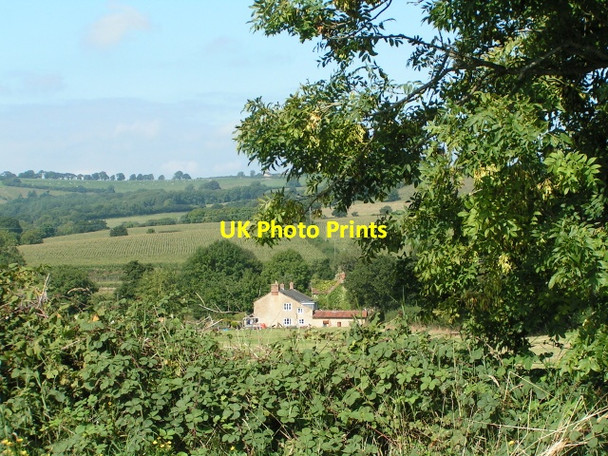 Photo 6"x4" House at Hewish seen from the B3165 Crewkerne c2013