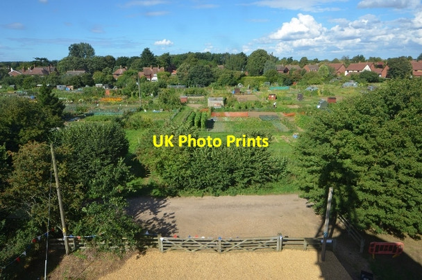 Photo 6"x4" Dereham Allotments Dumpling Green c2013