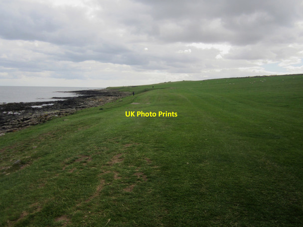 Photo 6"x4" Coastal footpath north of Craster Craster c2013