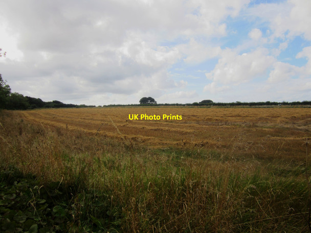 Photo 6"x4" Arable field west of Dunstan Dunstan\/NU2419 c2013
