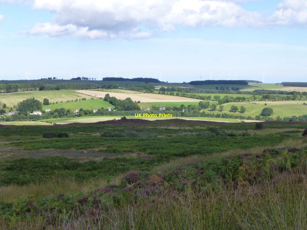Photo 6"x4" View across Beanley Moor Eglingham c2013