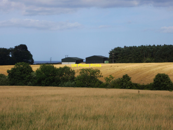 Photo 6"x4" Farm land west of Dunstan Steads Embleton\/NU2322 c2013