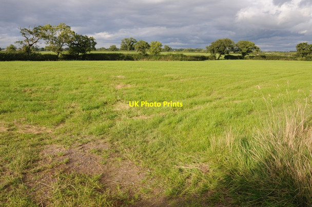 Photo 6"x4" Farmland near Wettenhall Hall Wettenhall c2013
