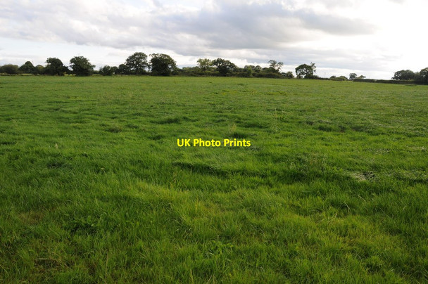 Photo 6"x4" Farmland near Wettenhall Wades Green c2013