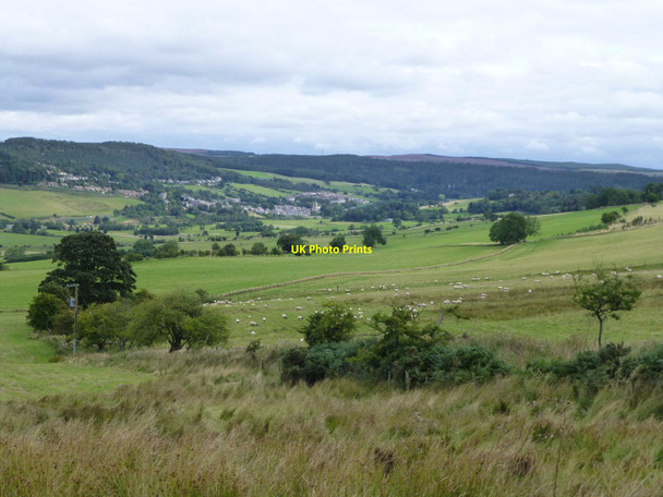 Photo 6"x4" In the foothills of Simonside Hills Newtown\/NU0300 c2013