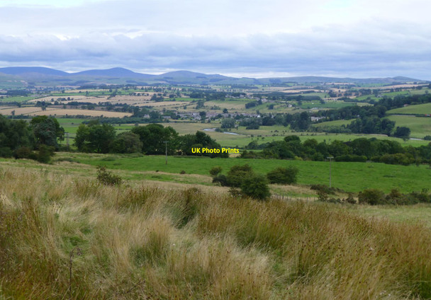 Photo 6"x4" Reeds and pasture above the River Coquet Newtown\/NU0300 c2013