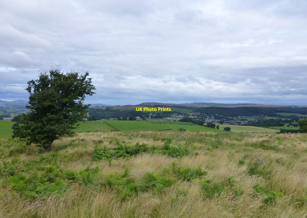 Photo 6"x4" Looking across Birky Hill Newtown\/NU0300 c2013
