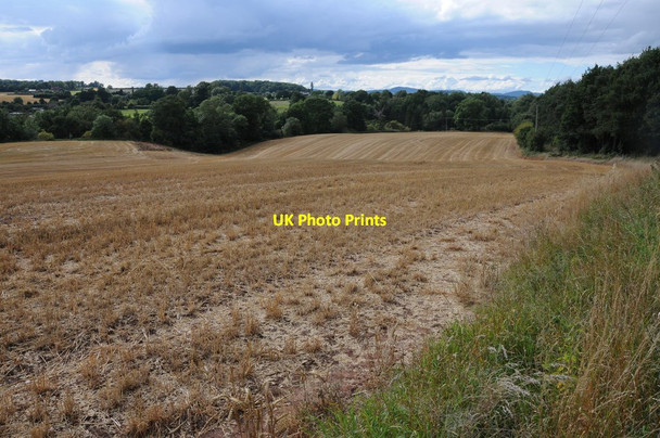 Photo 6"x4" Stubble field at Warren Bank Hadley\/SO8663 c2013