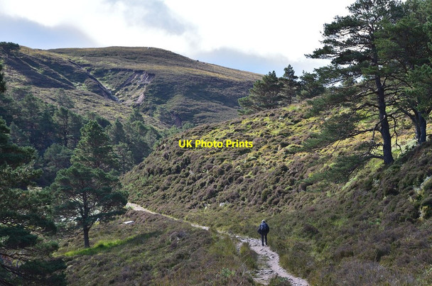 Photo 6"x4" Path into Gleann Eanaich Am Beanaidh c2013
