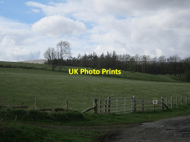 Photo 6"x4" Roan road end Whithaugh c2013