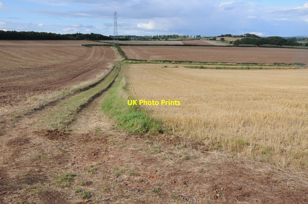 Photo 6"x4" Farmland track Broad Alley c2013