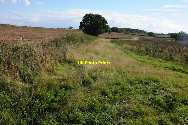 Photo 6"x4" Field headland Broad Alley c2013