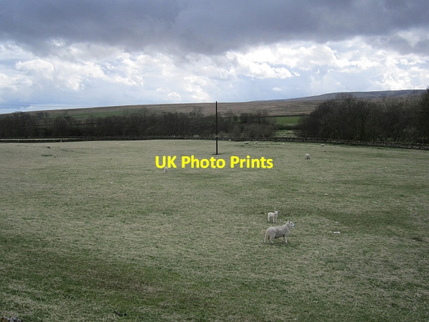 Photo 6"x4" Pasture, Hermitage Hermitage\/NY5095 c2013