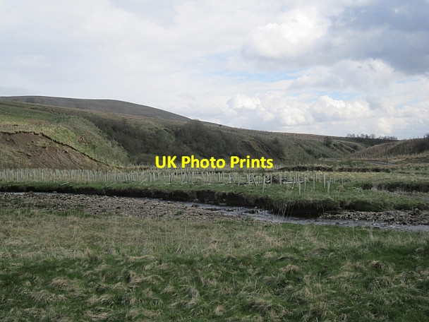 Photo 6"x4" Whitrope Burn Hermitage\/NY5095 c2013