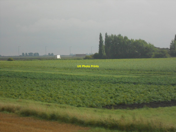 Photo 6"x4" Deeping Fen Deeping St Nicholas c2013