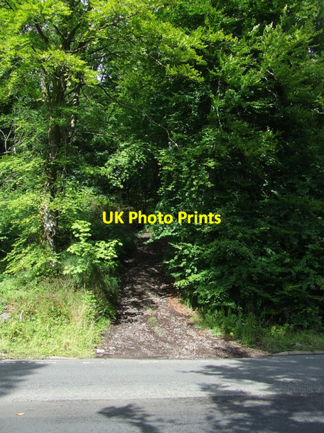 Photo 6"x4" Rough track off the A770 Cloch Road Inverkip c2013 P1