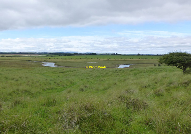 Photo 6"x4" The merged Tughall Burn and Brunton Burn Tughall c2013