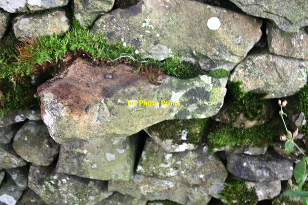 Photo 6"x4" Benchmark on B6257 wall, Dillicar Common Lowgill\/SD6297 c2013