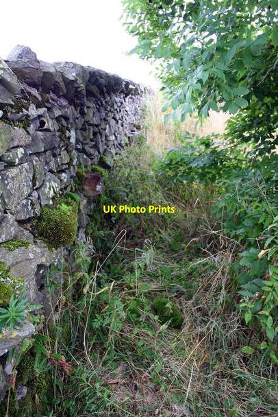 Photo 6"x4" Dry stone wall beside B6257 near Dillicar Common Lowgill\/SD6297 c2013