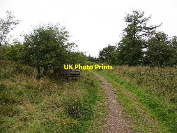 Photo 6"x4" Langton Edge track Gavinton c2013