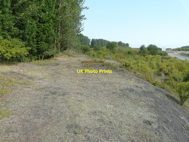 Photo 6"x4" Top of former railway embankment Finglesham c2013