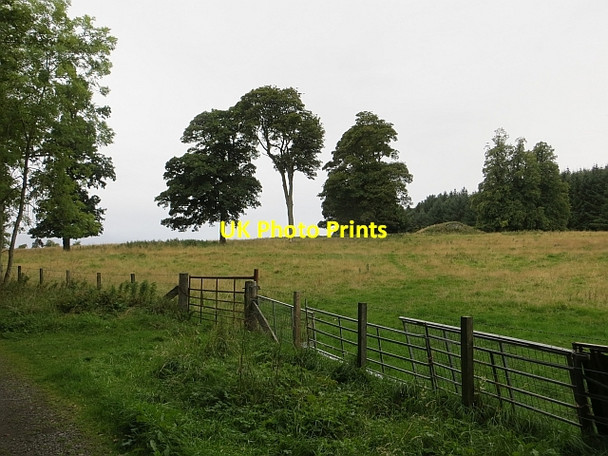 Photo 6"x4" Parkland, Duns Castle Duns c2013