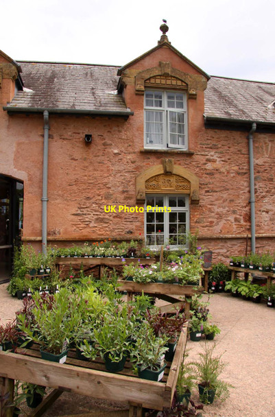 Photo 6"x4" The plant centre at Hestercombe House Gotton c2013