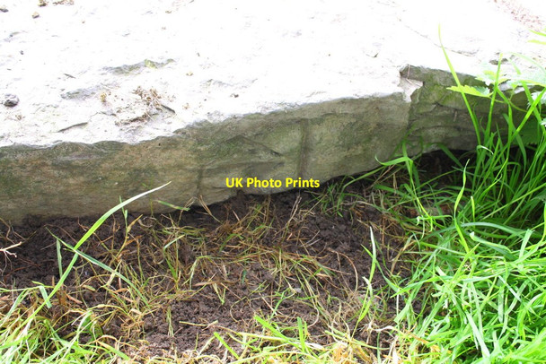 Photo 6"x4" Benchmark on felled gatepost in field near Low Carlingill Lowgill\/SD6297 c2013